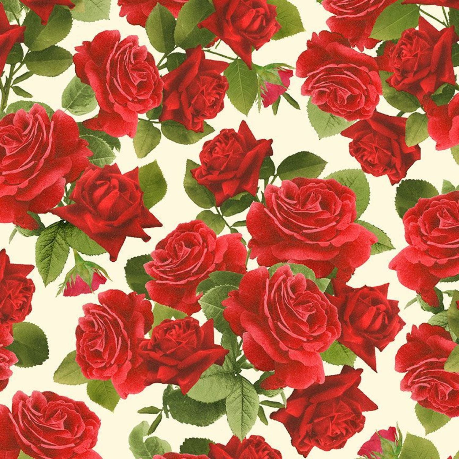 Vintage Rose Large Red Rose Bouquets Cream Cotton Fabric Timeless Treasures BTY