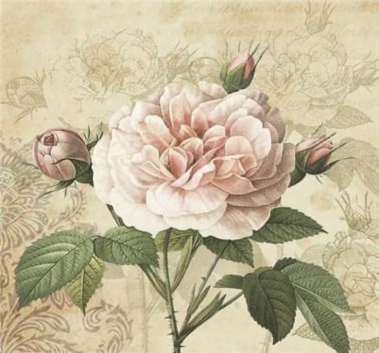 Vintage Rose with Buds - Decorative Floral Lunch Paper Napkins 100pcs - Perfect for Decoupage, Party, Birthday, Special Occasions, Weddings