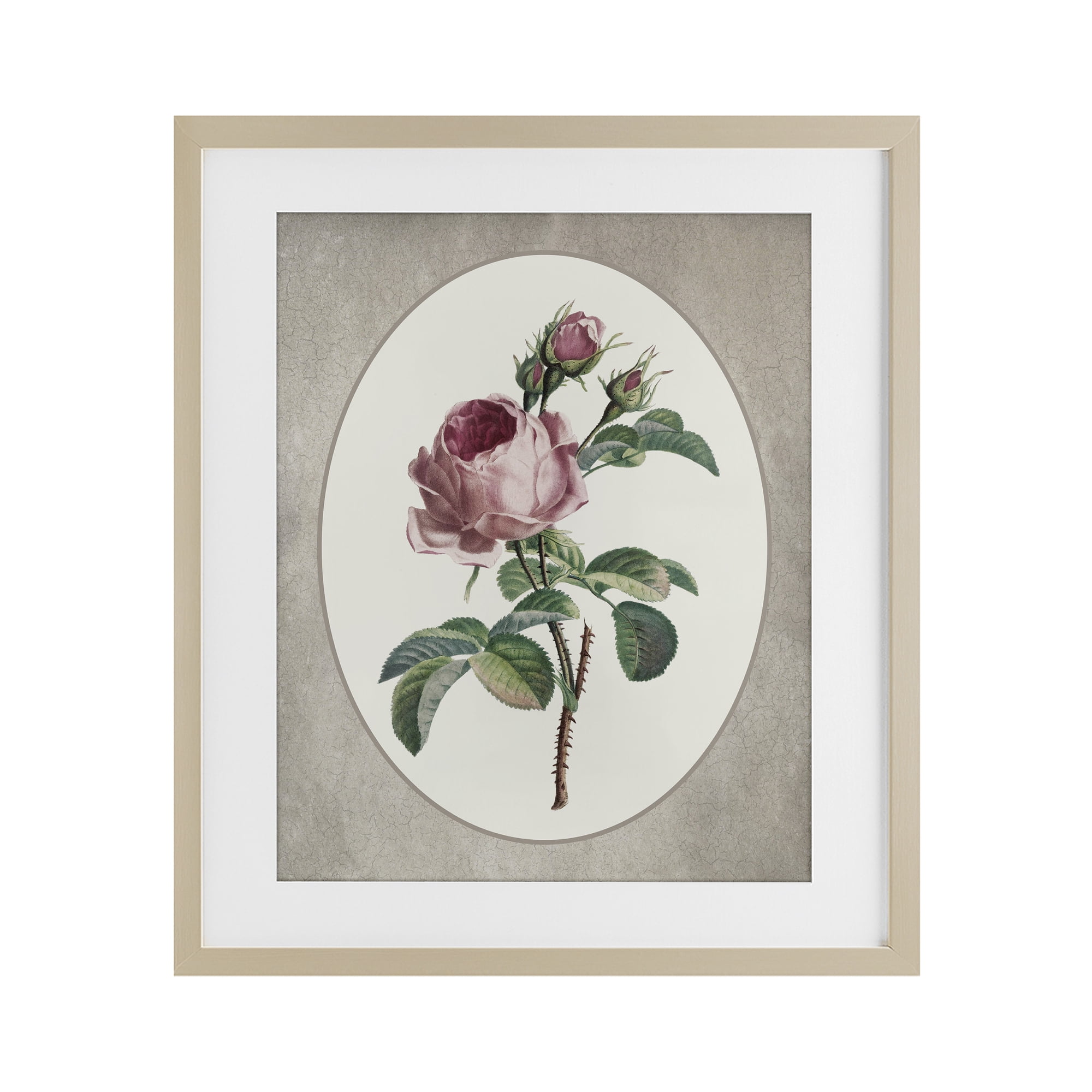 Vintage Rose within Oval Birch Framed Print Under Glass, design by Lettered and Lined