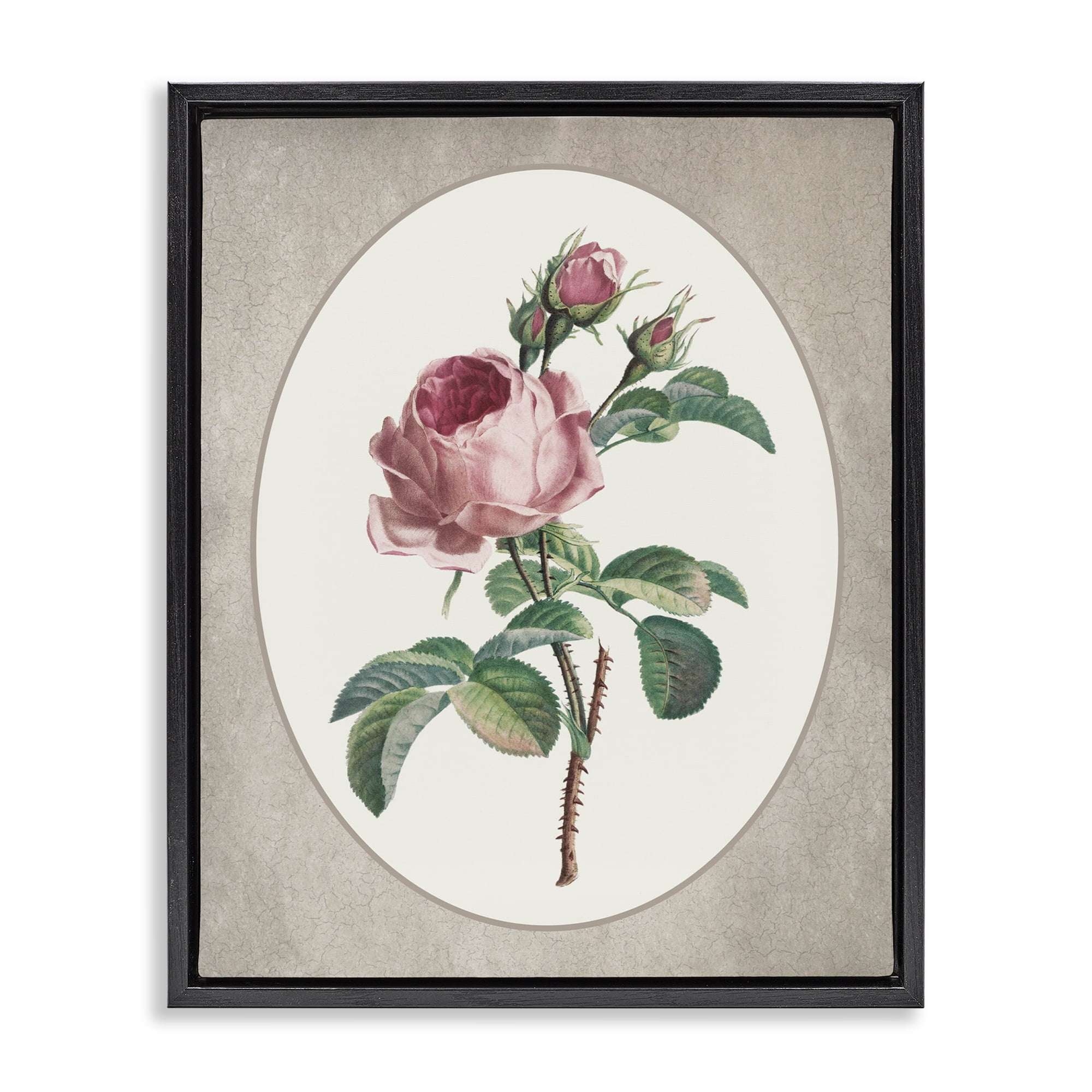 Vintage Rose within Oval Black Framed Floater Canvas Wall Art, design by Lettered and Lined