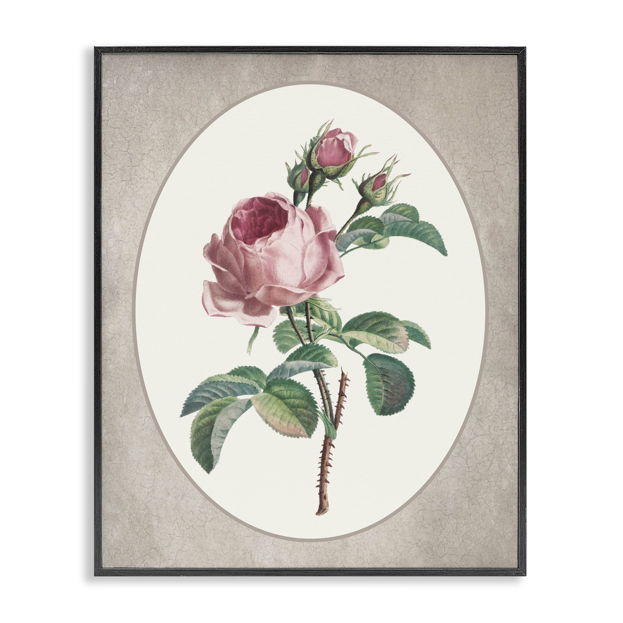 Vintage Rose within Oval Black Framed Giclee Art, design by Lettered and Lined