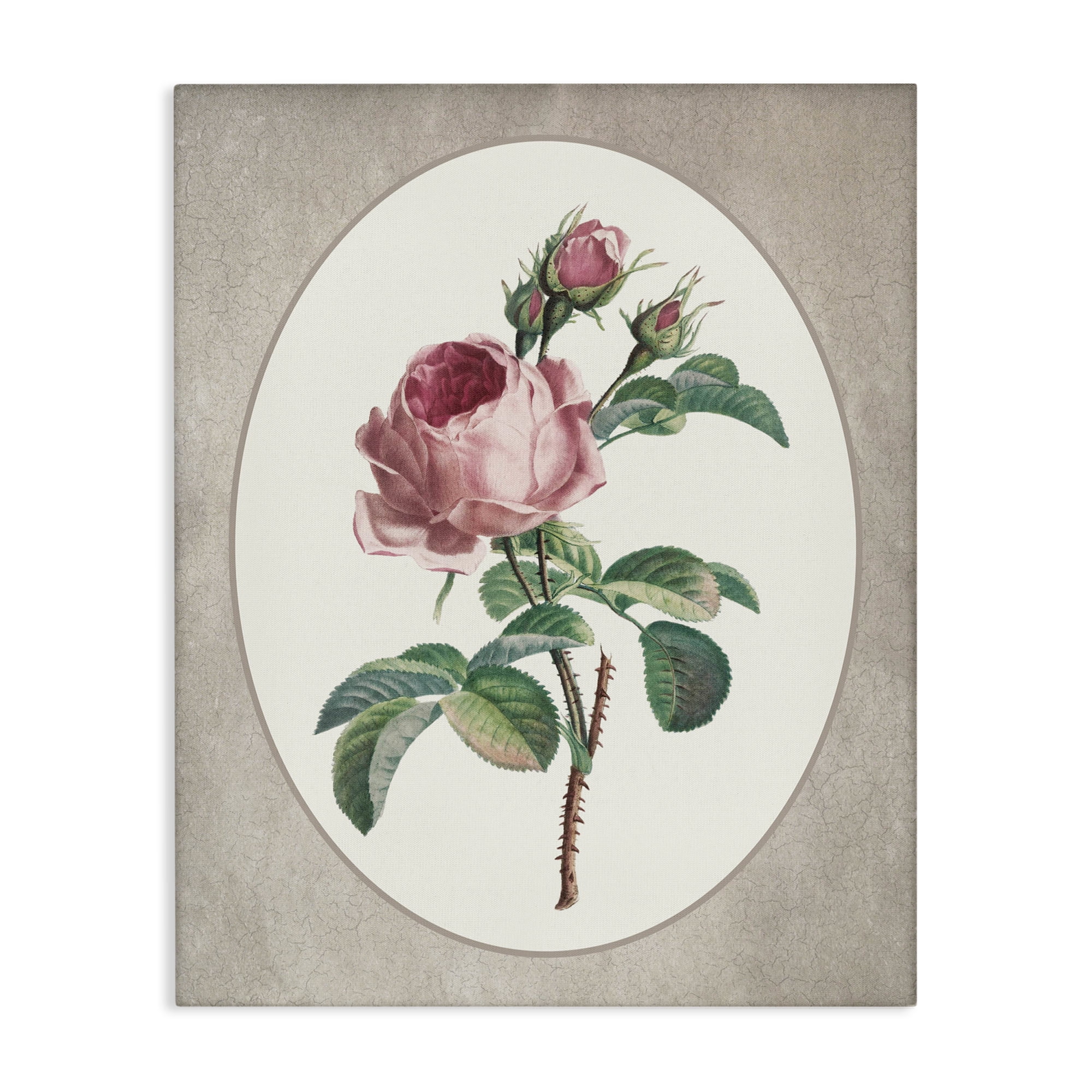 Vintage Rose within Oval Canvas Wall Art, design by Lettered and Lined