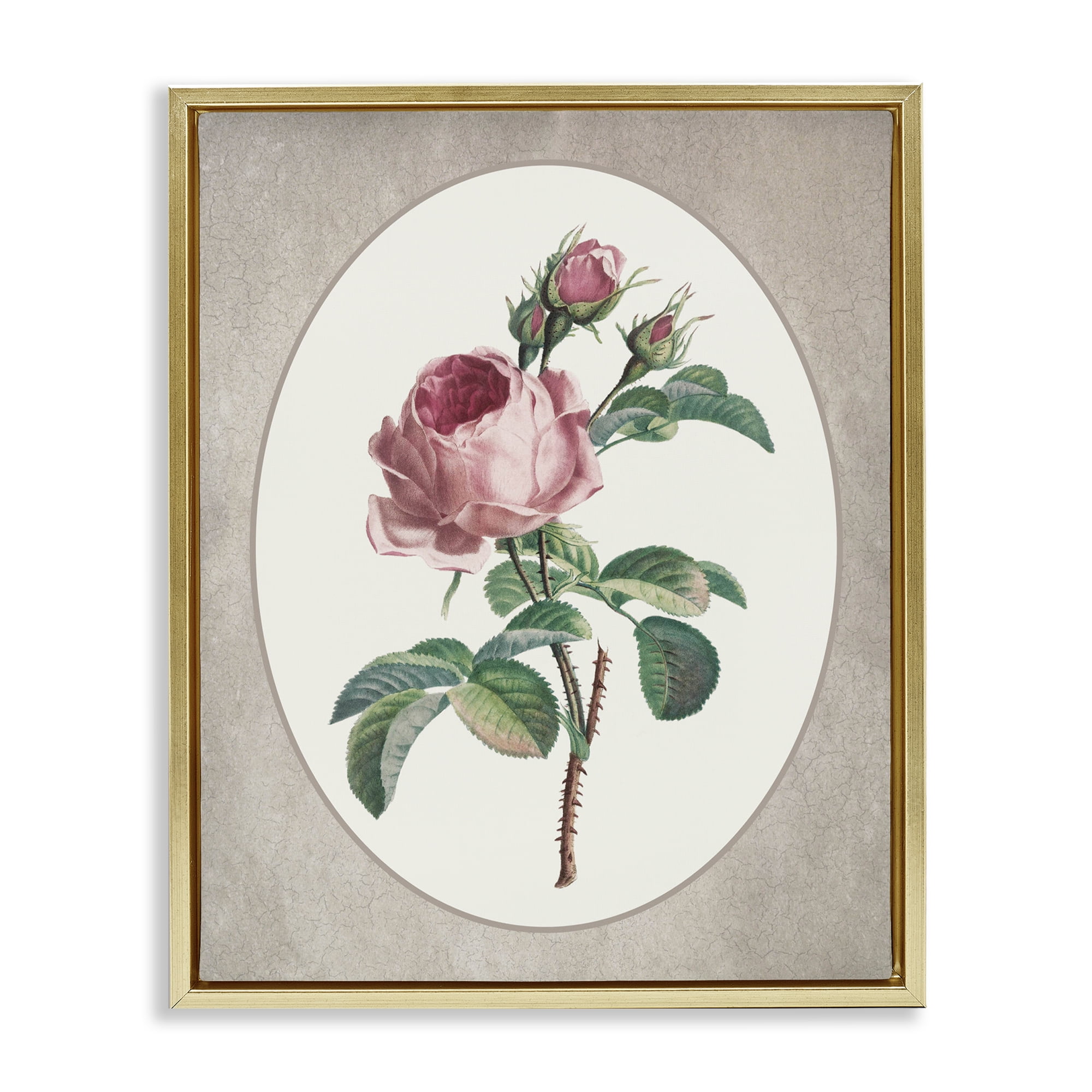 Vintage Rose within Oval Gold Framed Floater Canvas Wall Art, design by Lettered and Lined