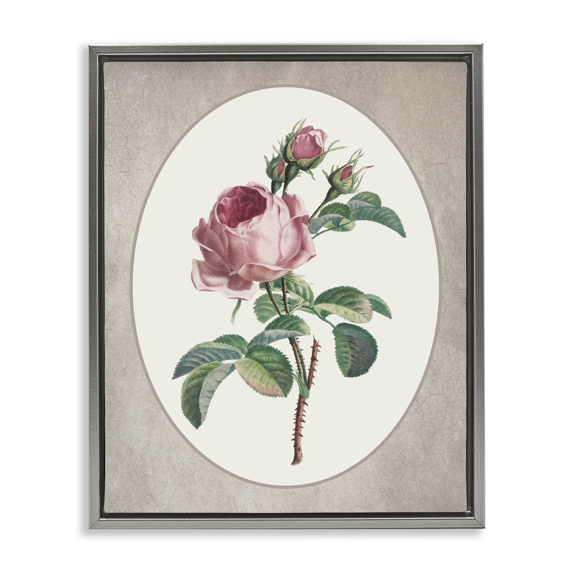 Vintage Rose within Oval Gray Framed Floater Canvas Wall Art, design by Lettered and Lined