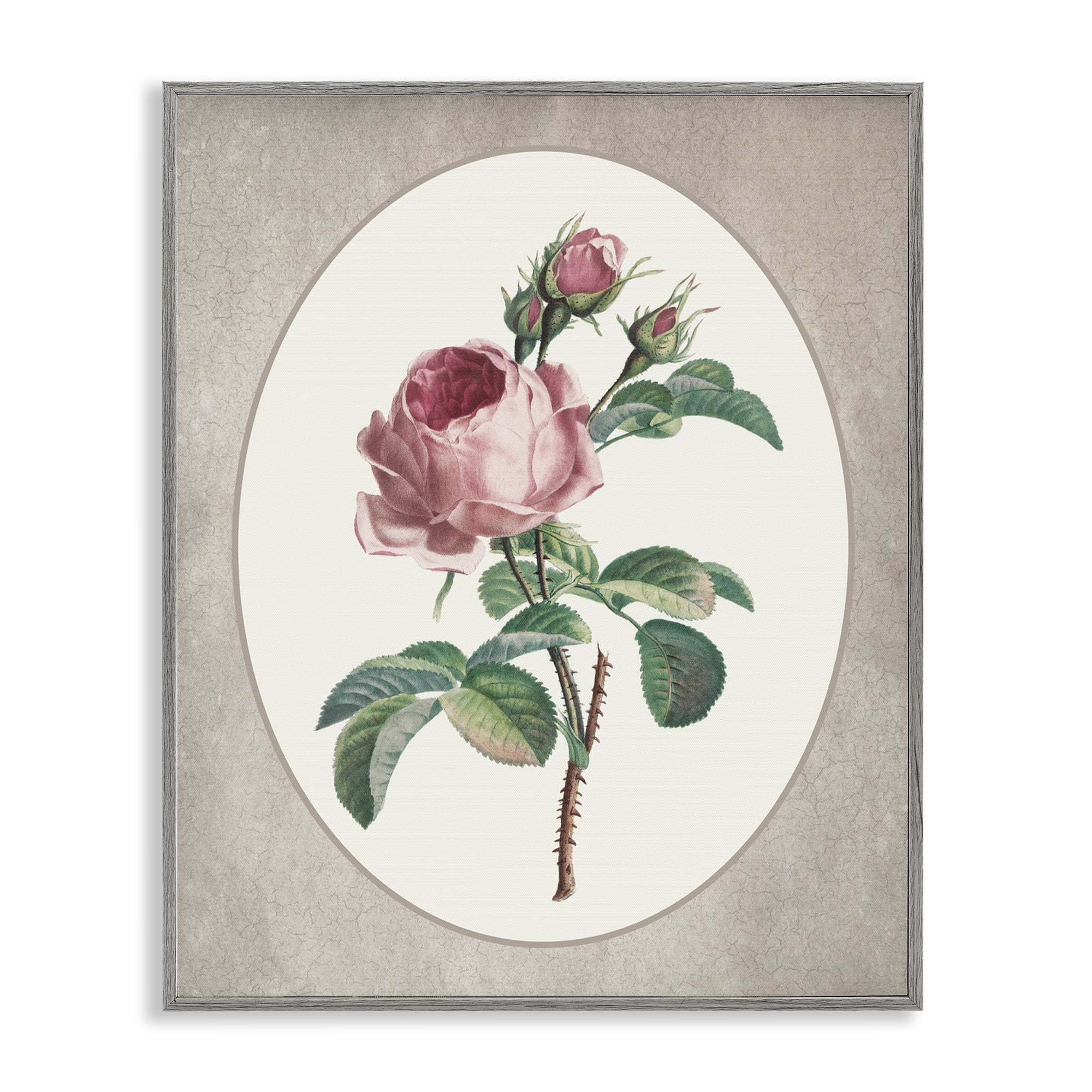 Vintage Rose within Oval Gray Framed Giclee Art, design by Lettered and Lined