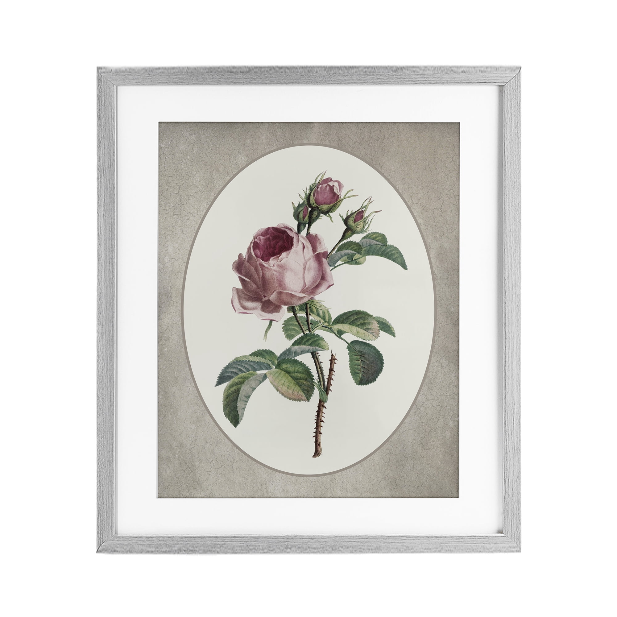 Vintage Rose within Oval Gray Framed Print Under Glass, design by Lettered and Lined