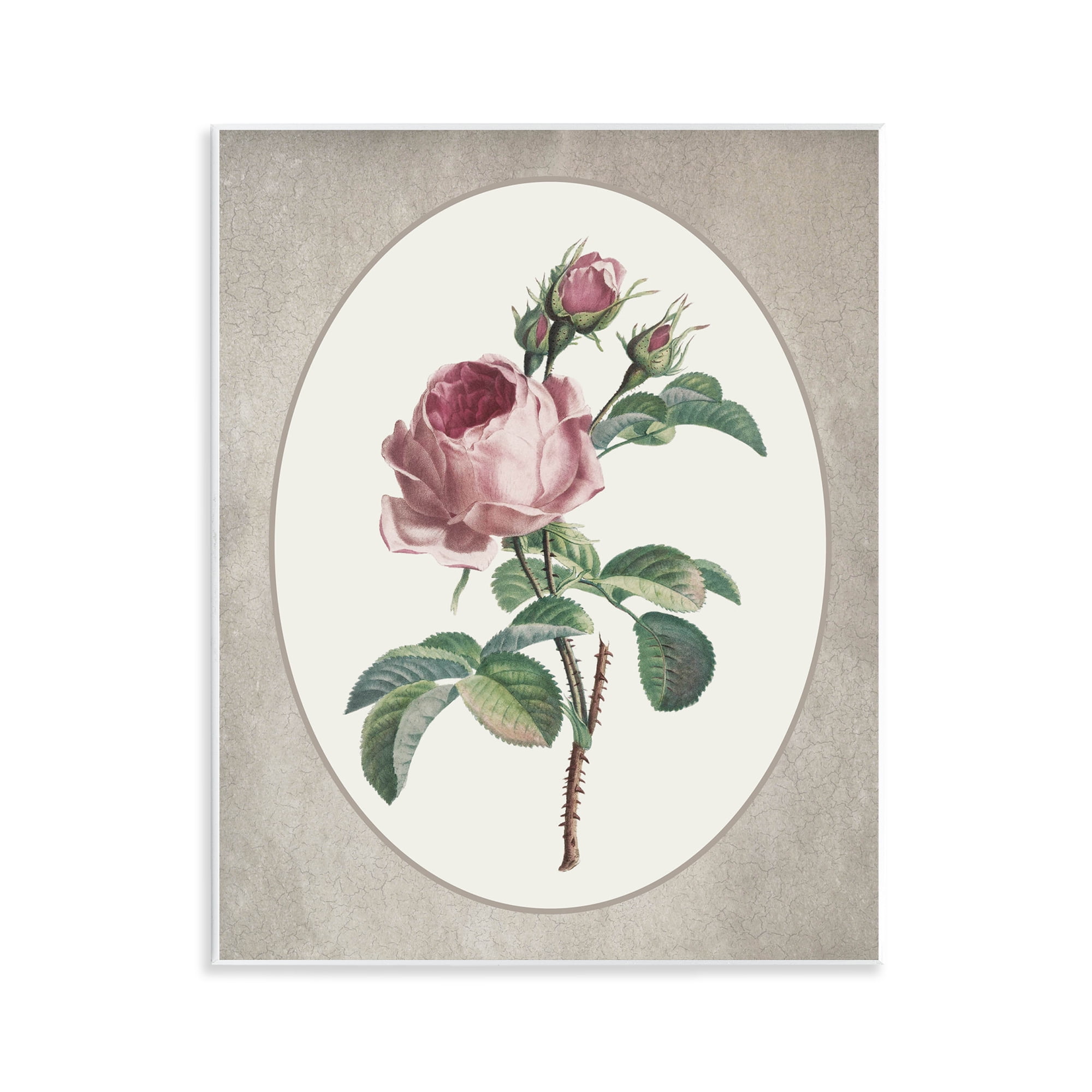 Vintage Rose within Oval Wall Plaque Art, design by Lettered and Lined