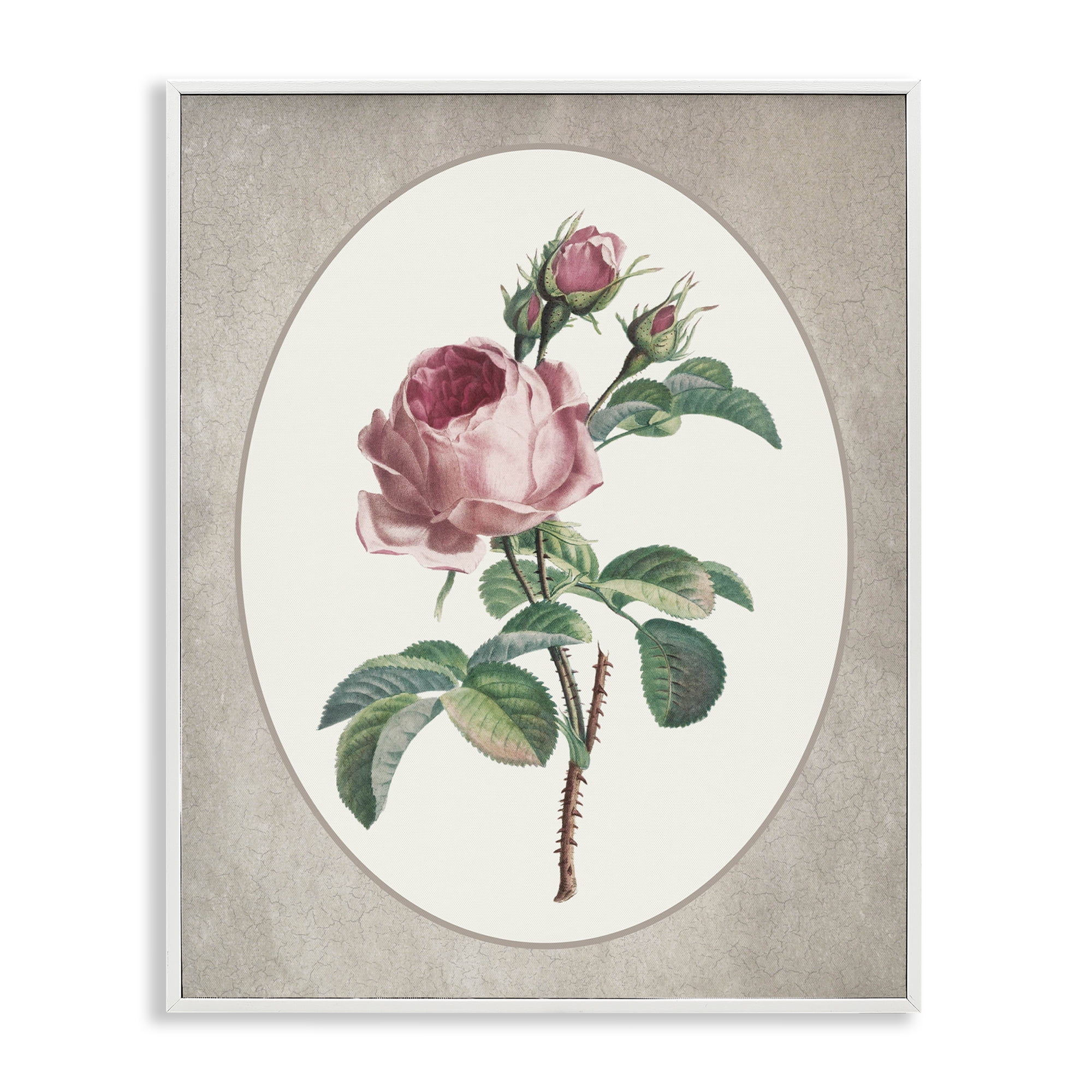 Vintage Rose within Oval White Framed Giclee Art, design by Lettered and Lined