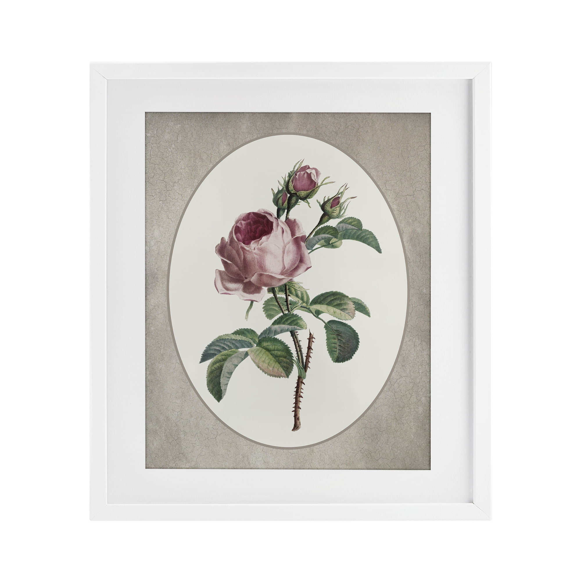 Vintage Rose within Oval White Framed Print Under Glass, design by Lettered and Lined