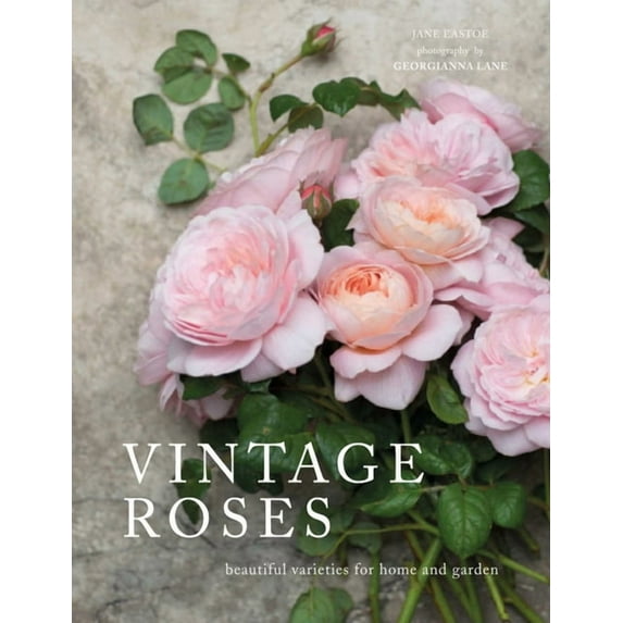 Flowers Vintage Roses: Beautiful Varieties for Home and Garden, (Hardcover)