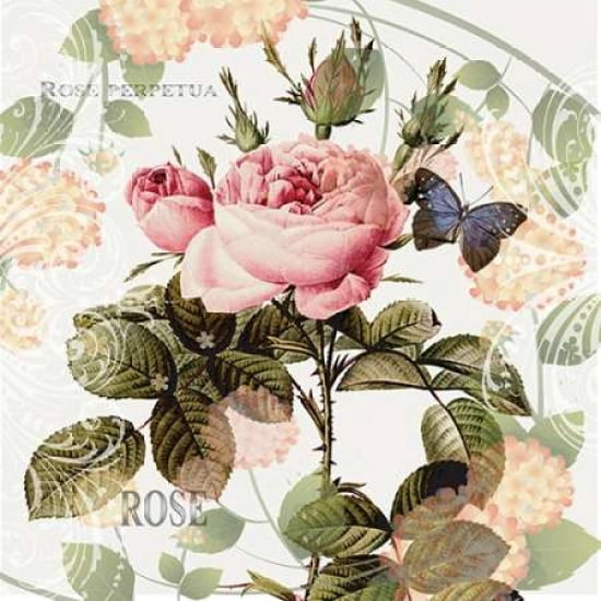 Vintage Roses Canvas Art - Denise Urban (24 x 24)