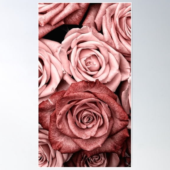 Vintage Roses Poster Wall Art, Modern Wall Decor For Living Room Bedroom, 8x12 UNFRAMED