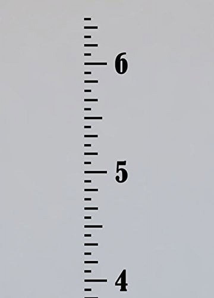 6 clearance foot ruler