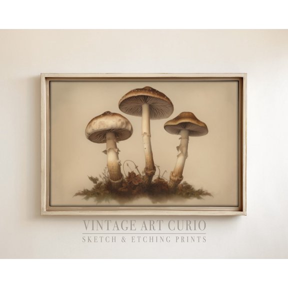 Vintage Rustic Mushroom XL Sketch, Rustic Country Decor, Kitchen , Vintage Etching, Vintage Kitchen Decor Unframed Paper Print