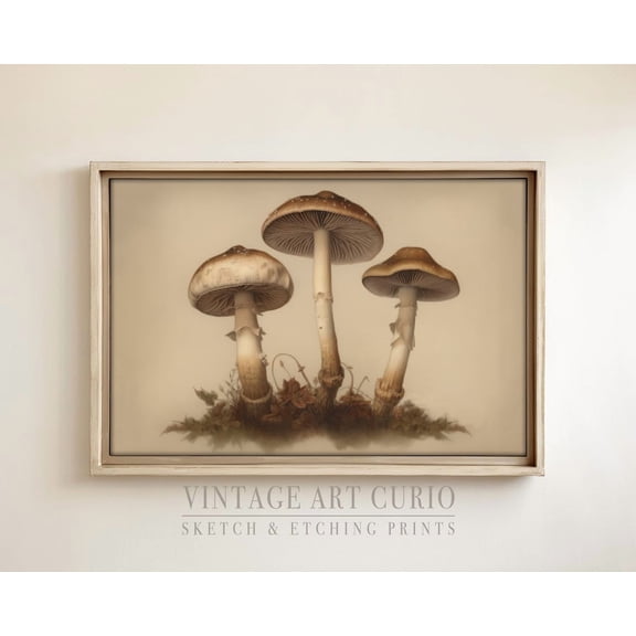 Vintage Rustic Mushroom Xl Sketch, Rustic Country Decor, Kitchen , Vintage Etching, Vintage Kitchen Decor Home Decor UNFRAMED Poster, Wall Art for Decor, Present, 8x12