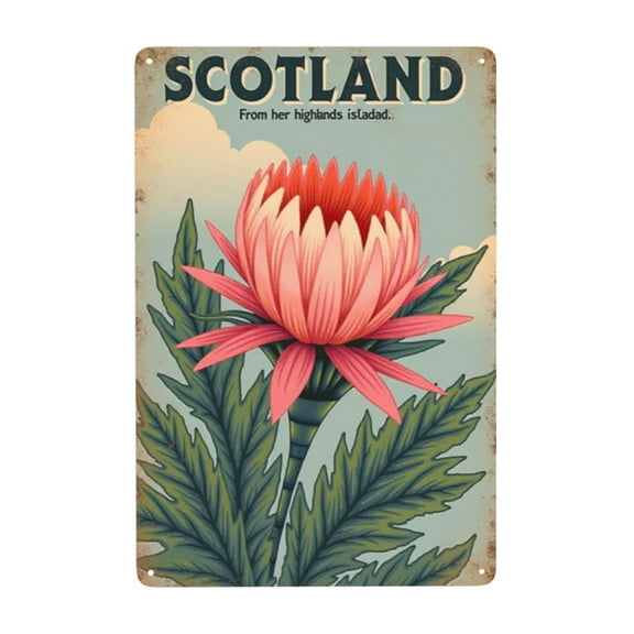 Vintage Scotland Thistle Flower Metal Tin Sign Scottish Highlands Floral Wall Art Decor Retro Metal Sign 8x12 Inch Home Decor