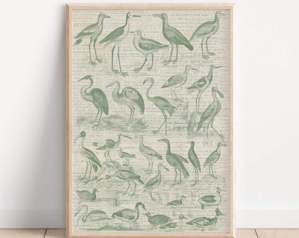 Vintage Sea Bird Print Newspaper Print Beachy Wall Art Newspaper Poster ...
