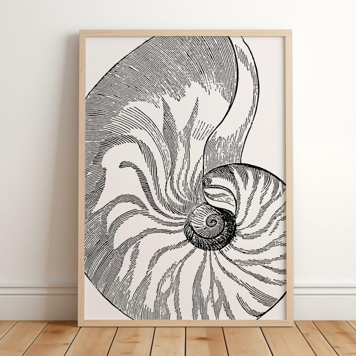 Vintage Sea Shell Wall Art Print Coastal Beach House Decor Neutral ...