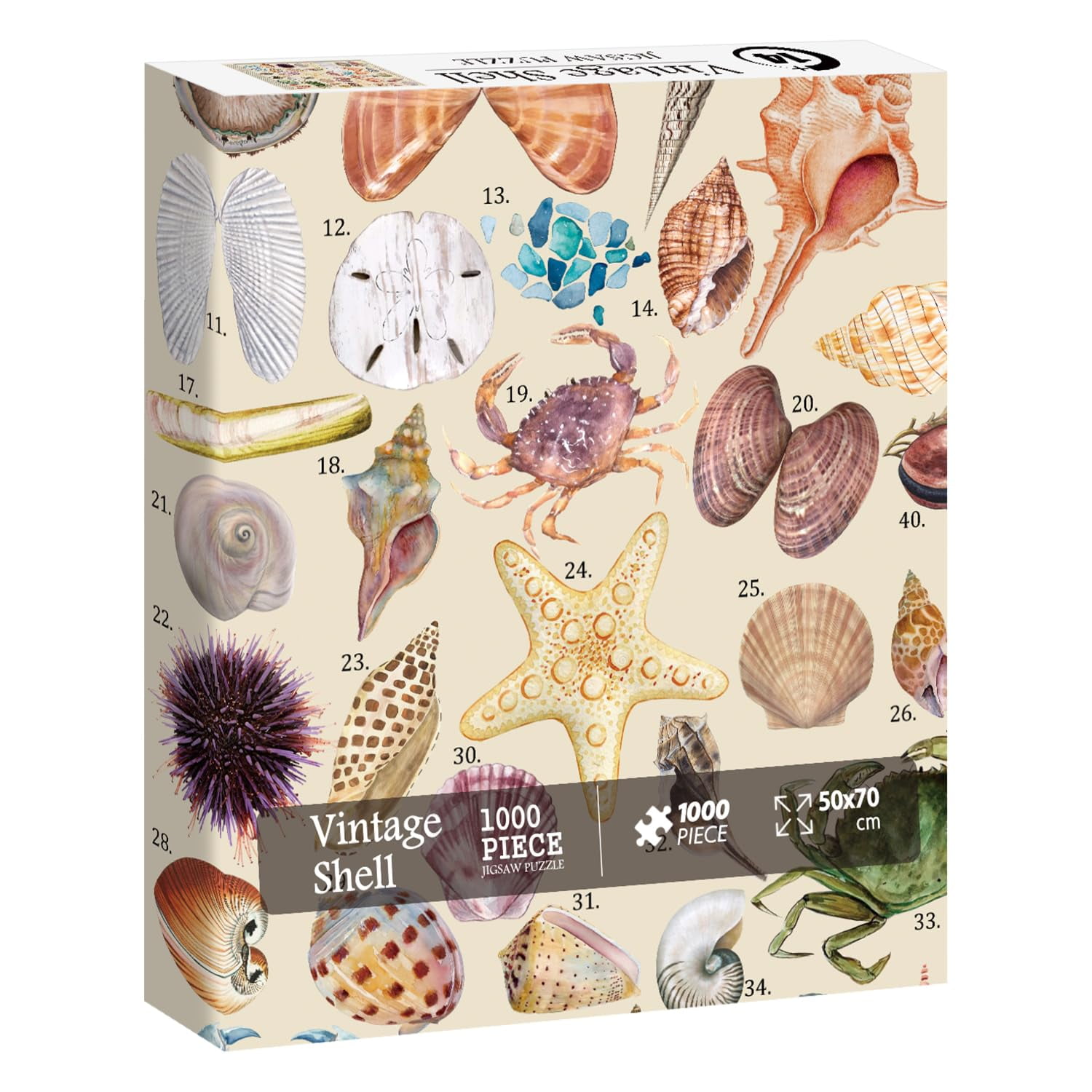 Vintage Seashell Puzzles for YPF5 Adults 1000 Pieces, Beach Ocean ...