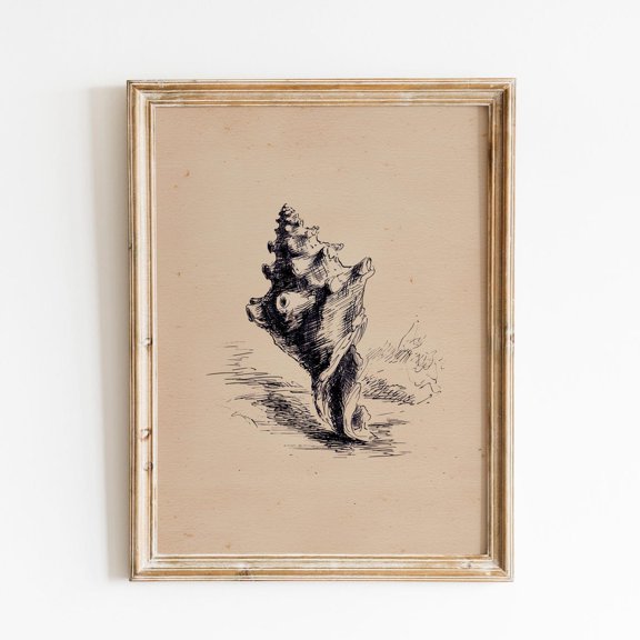Vintage Seashell Sketch Print, Minimal Shell Line Drawing, Beach House Decor Poster Unframed Paper Print