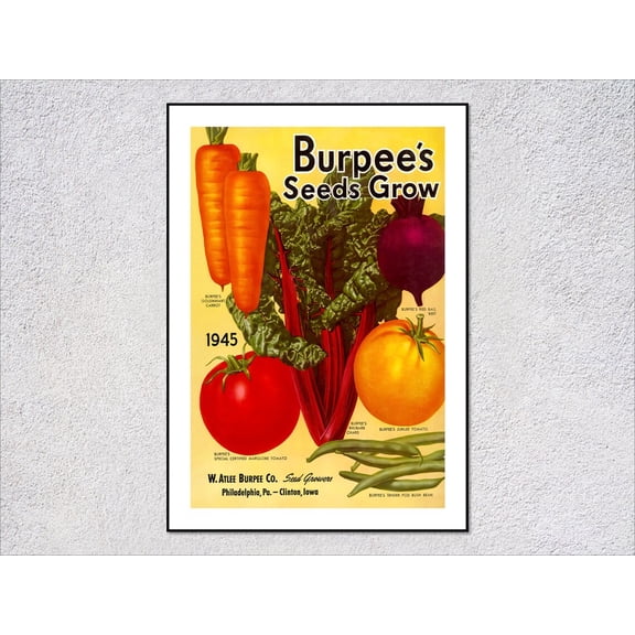 Vintage Seed Catalog Vegetable Poster, Unframed Paper Poster 8x10in