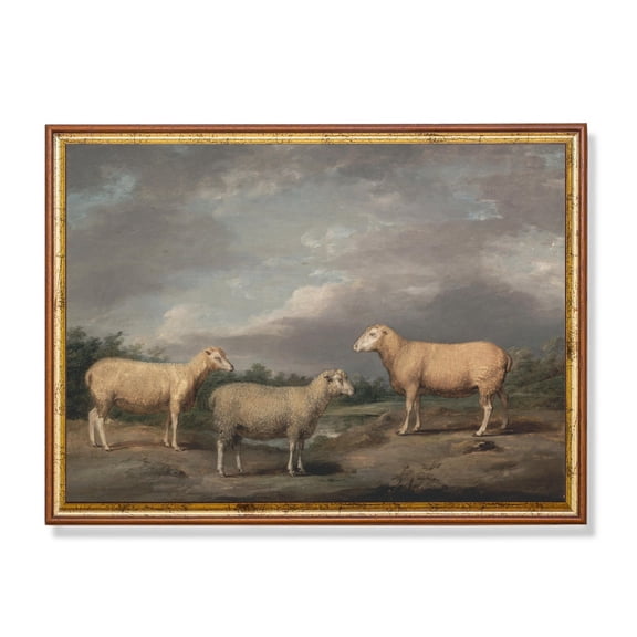 Vintage Sheep Rustic Farmhouse Wall Art Unframed Paper Print