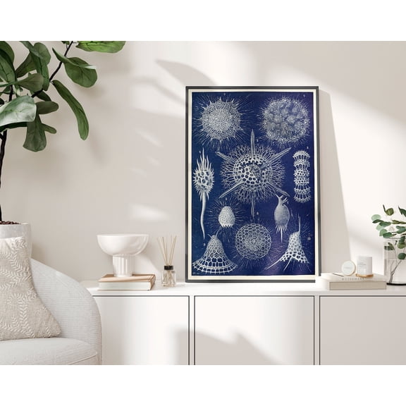 Vintage Shell Art, Blue Beach Print, Vintage Coastal, Lake house art, Shell , Coastal Wall Art, Nautical Wall Decor, Poster Decor, Size 8x12 UNFFRAMED F03.1.8l76