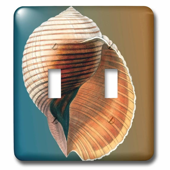 3dRose, Vintage Shell Beach Theme nautical, double toggle switch