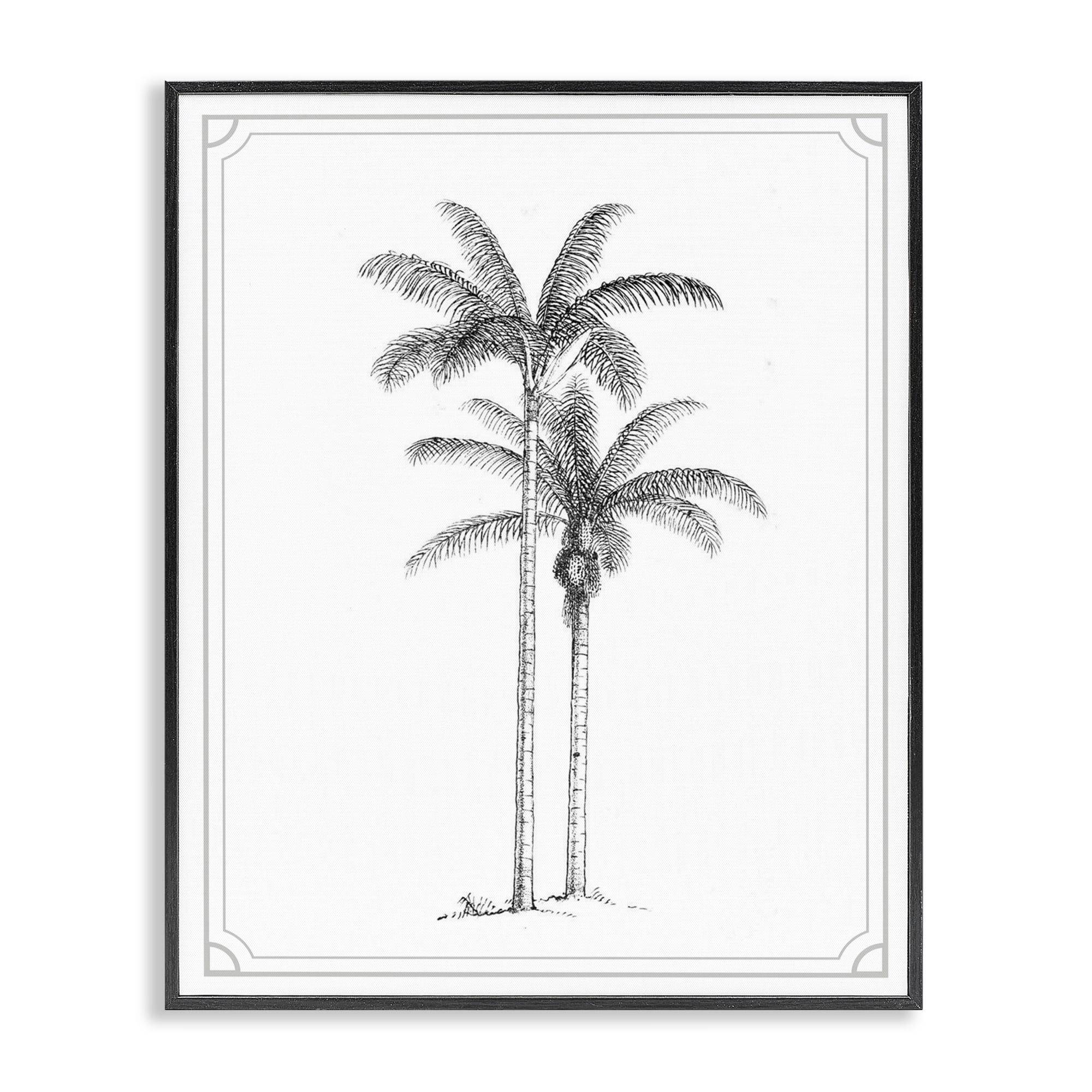 Vintage Simple Palm Tree Black Framed Giclee Art, design by Lettered and Lined