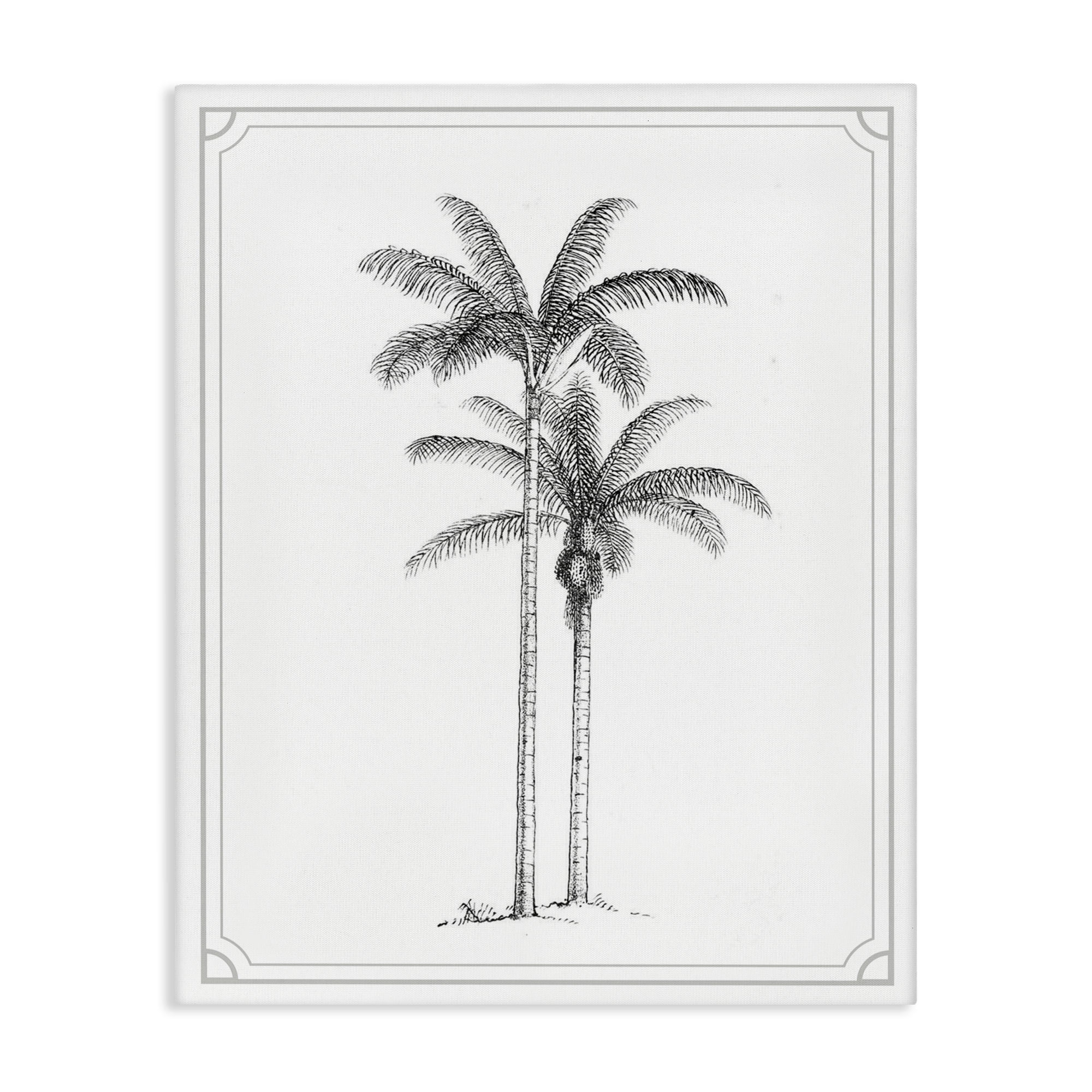 Vintage Simple Palm Tree Canvas Wall Art, design by Lettered and Lined