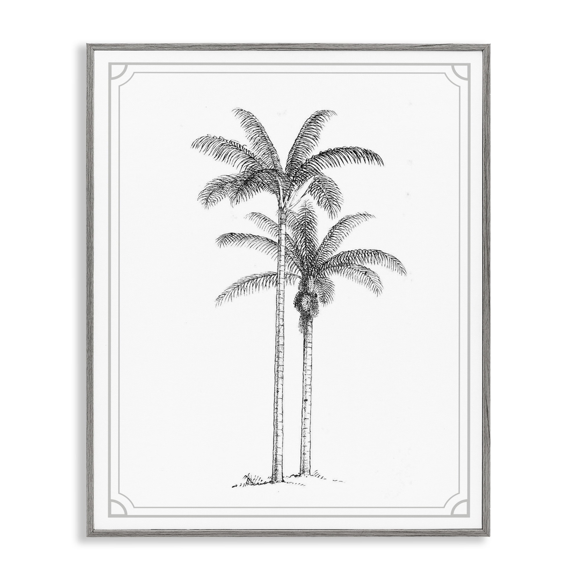 Vintage Simple Palm Tree Gray Framed Giclee Art, design by Lettered and Lined