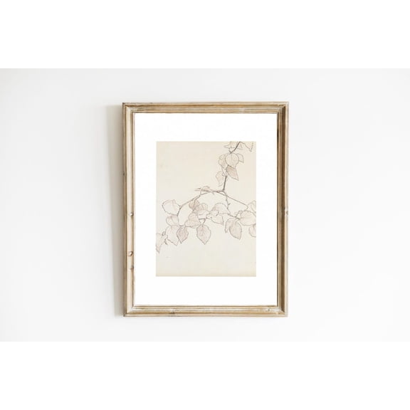 Vintage Sketch Art Vintage Style Pencil Drawing Tree Branch Vine Sketch Neutral Wall Art Minimal Style, Unframed Paper Print