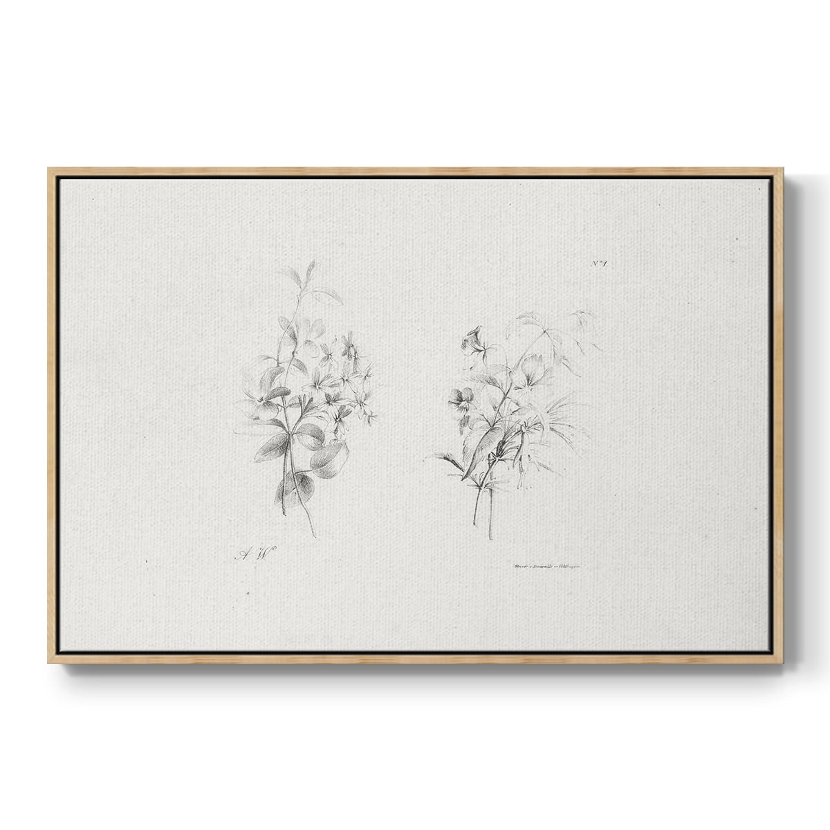 Vintage Sketch-IX By Wexford Home Framed in Natural Wood Wood Gallery Wrapped Canvas 17 in. x 25 in.