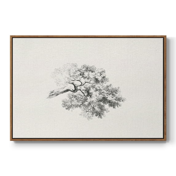 Vintage Sketch-XI By Wexford Home Framed in Walnut Wood Gallery Wrapped Canvas 17 in. x 25 in.