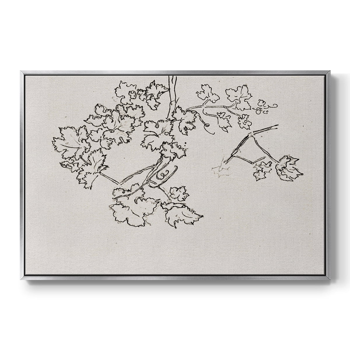 Vintage Sketch-XIII By Wexford Home Framed in Silver Wood Gallery Wrapped Canvas 27 in. x 41 in.
