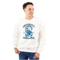 thumbnail image 1 of Vintage Smurf University Graduate Unisex Plus Size Sweatshirt Brisco Brands 4X, 1 of 5