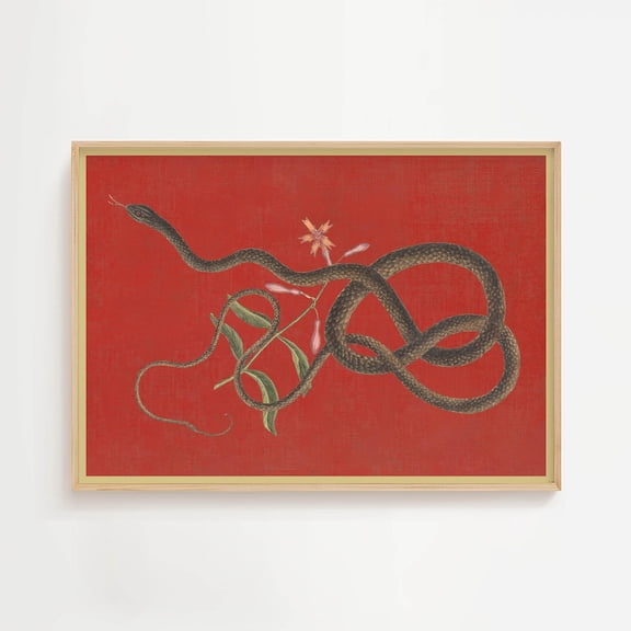 Vintage Snake Poster, Mystical Wall Art, Botanical Drawing Print, Dark Academia Print, Maximalist Wall Decor, Gothic Animal Print, Serpent Art UNFRAMED PAPER POSTER, Home Decor