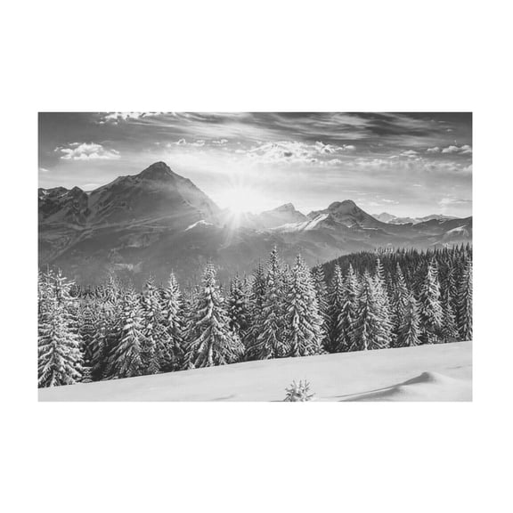 Vintage Snow Ski and Snowboard Grey Winter Landscape Canvas Wall Art for Home Living Room Decor 12*18in