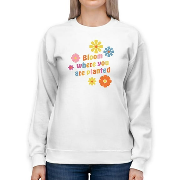 Vintage Spring Iv. Sweatshirt Women -Victoria Barnes Designs, Female 3X-Large