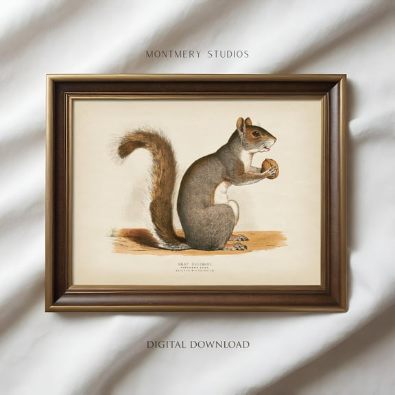 Vintage Squirrel Print Poster, Squirrel Illustration Poster, Squirrel Drawing, Fall Squirrel Art, Winter Squirrel Wall Art Poster Warm Present Vintage UNFRAMED Poster Size 12x18