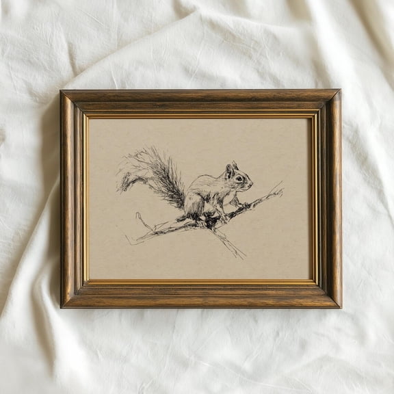 Vintage Squirrel Sketch Pen And Ink Wildlife Botanical Study Cottagecore Nature Dark Academia Art
