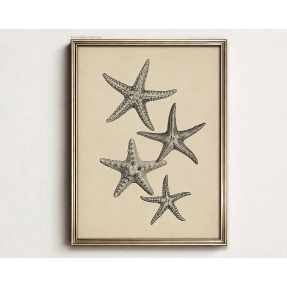 Vintage Starfish Nautical Beach Decor Wall Art Unframed Paper Print