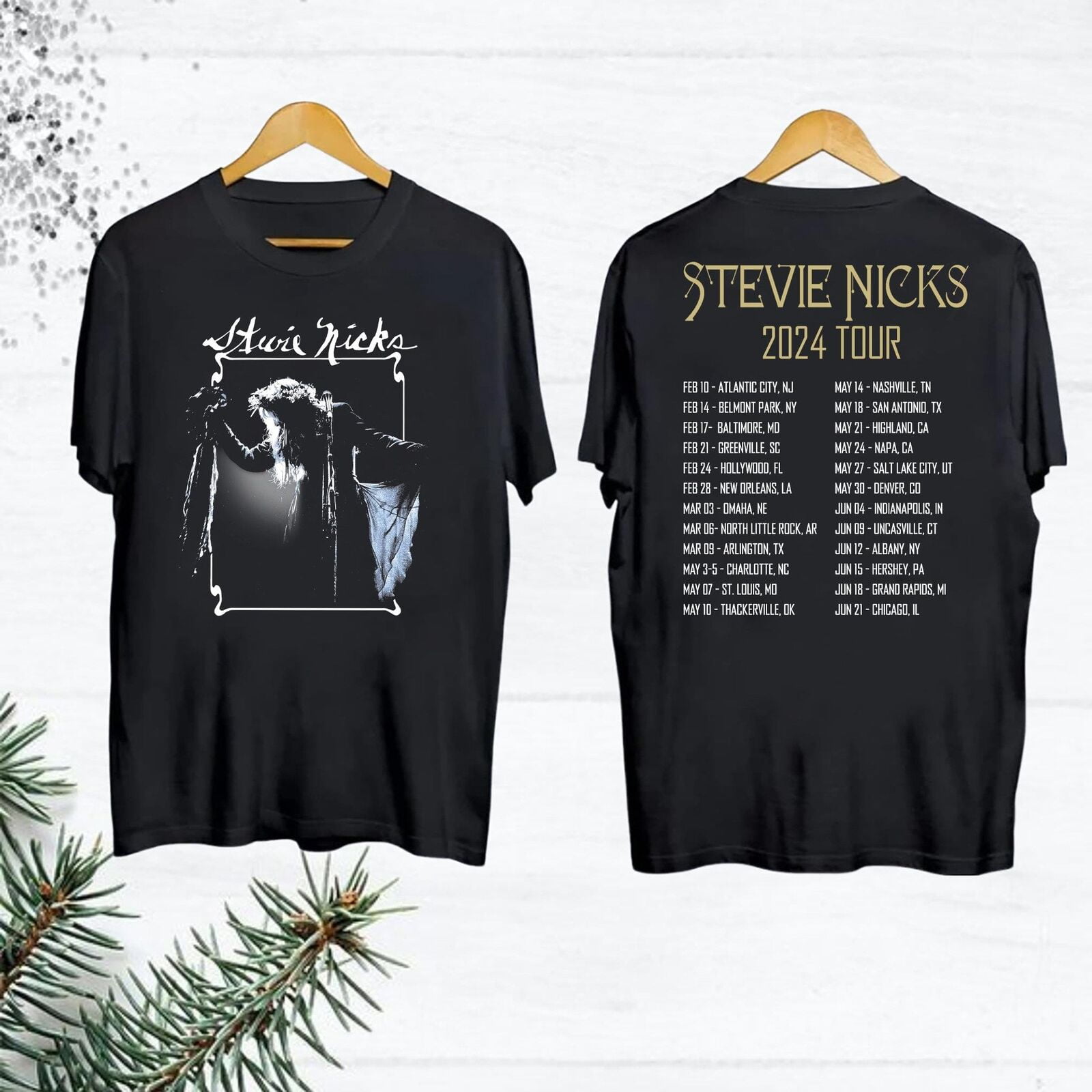 Vintage Stevie Nicks 2024 Tour TShirt Stevie Nicks Shirt Fan Gifts