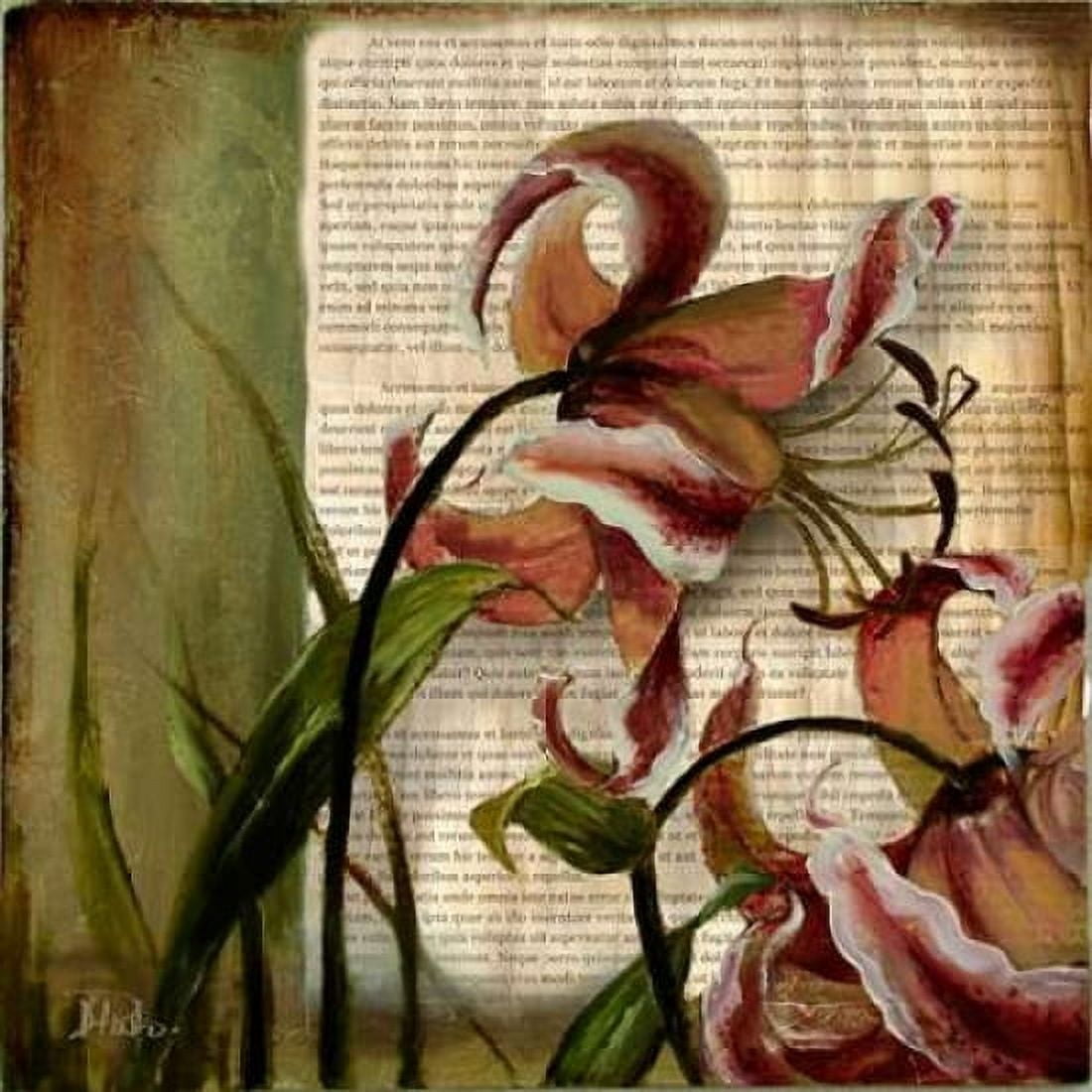 Vintage Studio II Canvas Art - Patricia Pinto (24 x 24)