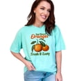 thumbnail image 1 of Vintage Sun-Kissed Oranges Print T-Shirt, Fresh And Zesty Fruit Design, Retro Citrus Graphic Tee, Summer Fashion Statement Shirt, Chalky Mint Comfort Colors T-Shirt, 2XL, 1 of 1