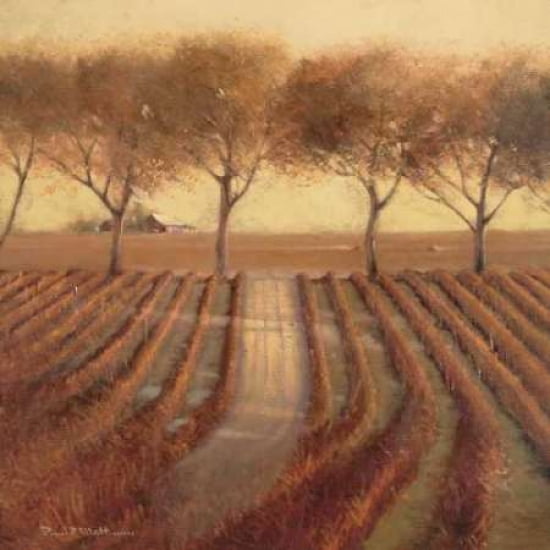 Vintage Sunlit Vineyard Canvas Art - Paul Mathenia (24 x 24)