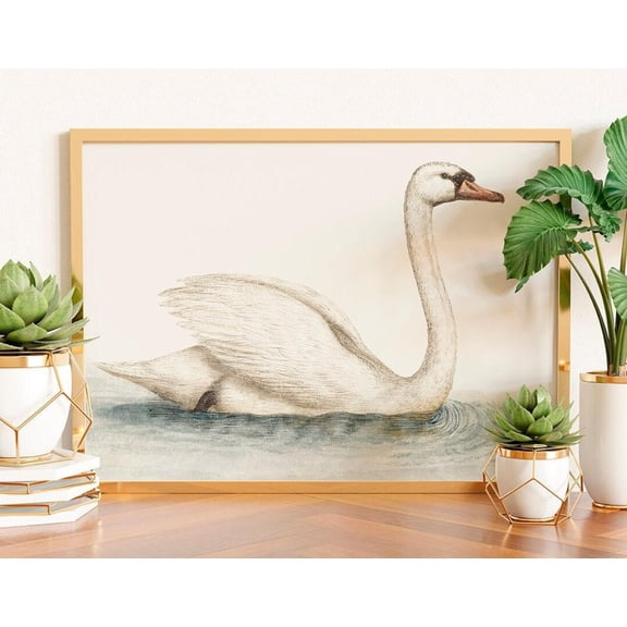 Vintage Swan Art Poster, French Country Nursery Decor, Unframed Poster Size 12x18