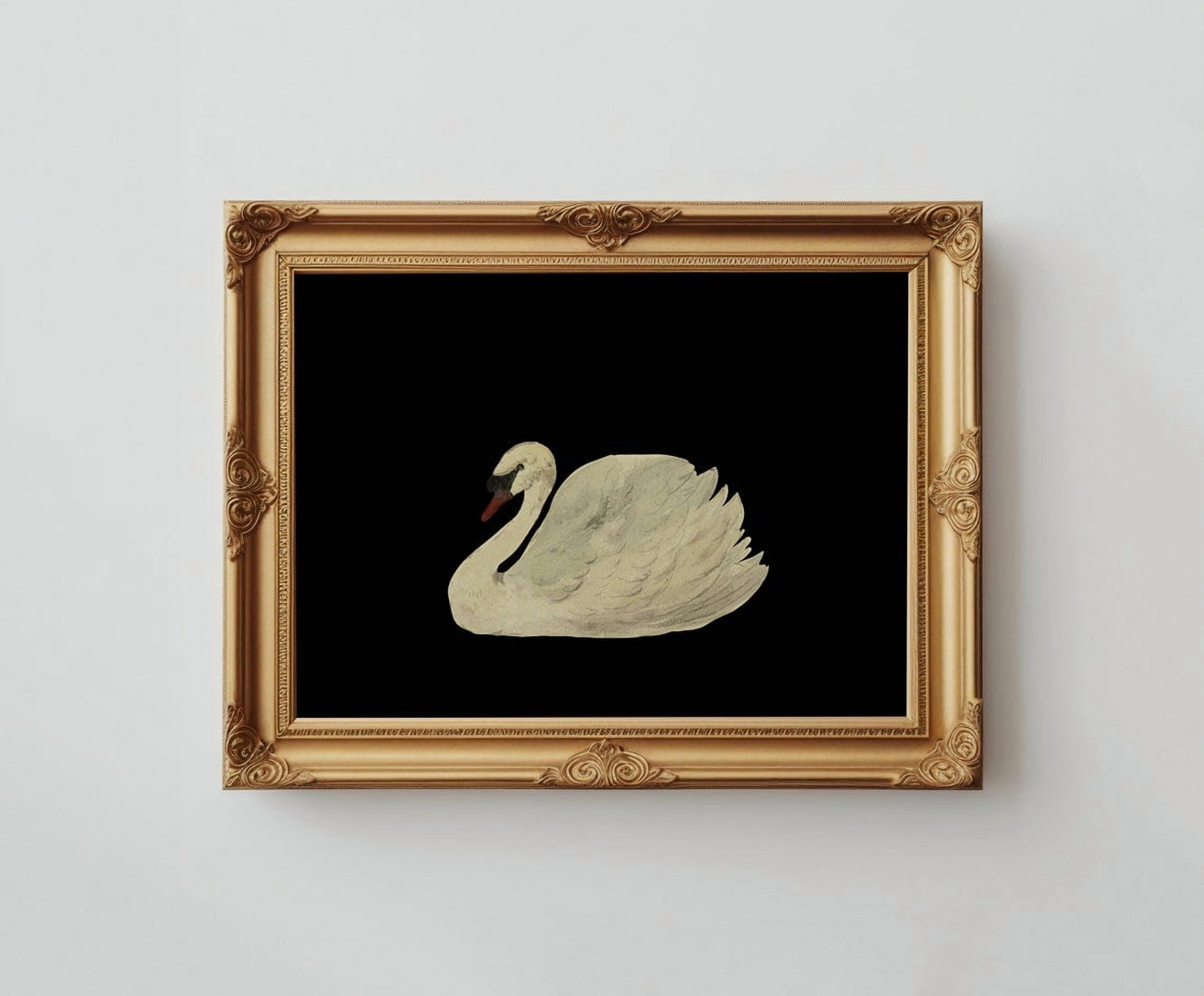 Vintage Swan Print, Neutral Cottagecore Wall Art, Minimalist Decor, Gallery Wall Print, Shipped Artwork Home Decor UNFRAMED Poster, Wall Art for Decor, Present, 16x24