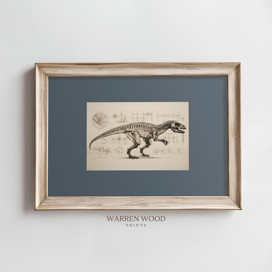 Vintage T,Rex Fossil Print, Dusty Blue Wall Art, Rustic Dinosaur Sketch, Neutral Dinosaur Decor, Fossil Illustration, Boys Dinosaur Room Home Decor #1669, Stretched Canvas Size 8x12