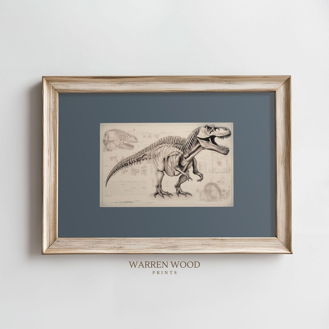 Vintage T,Rex Fossil Print, Dusty Blue Wall Art, Rustic Dinosaur Sketch, Neutral Dinosaur Decor, Fossil Illustration, Boys Dinosaur Room Home Decor #1700, Unframed Canvas Size 12x18